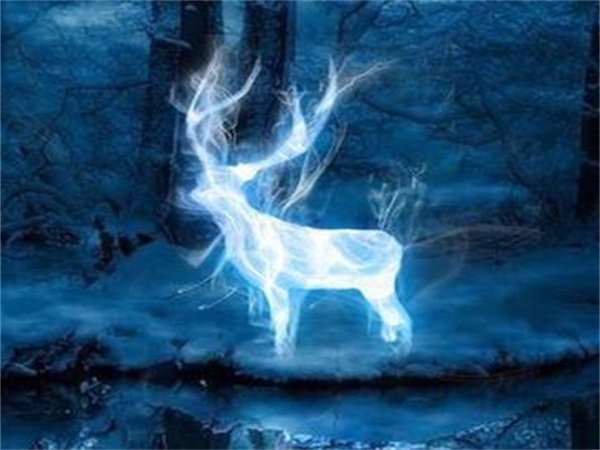 专属守护神测试-哈利波特魔法工具集