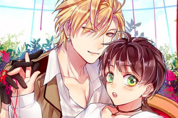 ABO性别设定心理测试（ACGN）