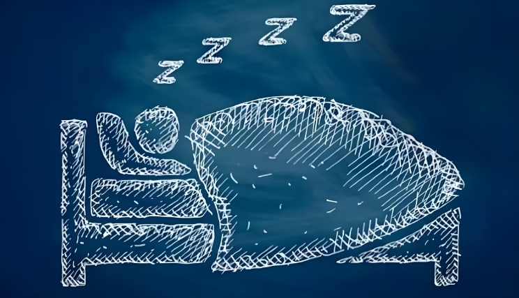 儿童睡眠紊乱量表(Sleep Disturbance Scale for Children, SDSC) 儿童睡眠紊乱量表(Sleep Disturbance Scale for Children, SDSC)