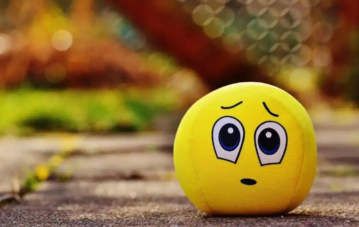 羞怯量表(Shyness Scale) 羞怯量表(Shyness Scale)
